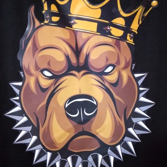 💥 CLOSET CLOSING SALE 💥 CHAMPION Men's Sleeveless Graphic Tank Tshirts-NWOT - Picture 4 of 13